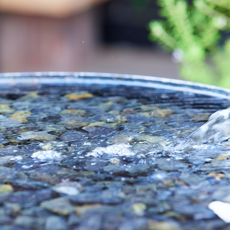 hana-kichi スタジオ周り風景 hana-kichi スタジオ周り風景