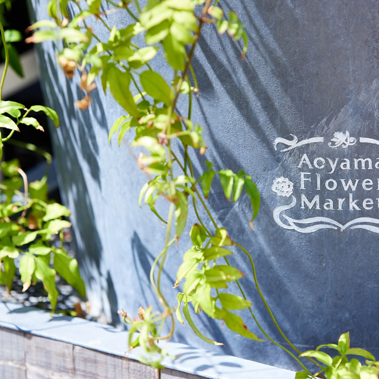 hana-kichi スタジオ周り風景 hana-kichi スタジオ周り風景