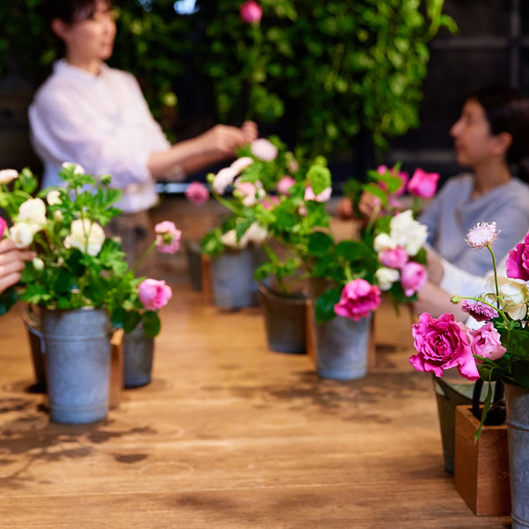 スタジオ内・レッスン風景@グラッセリア スタジオ内・レッスン風景@グラッセリア