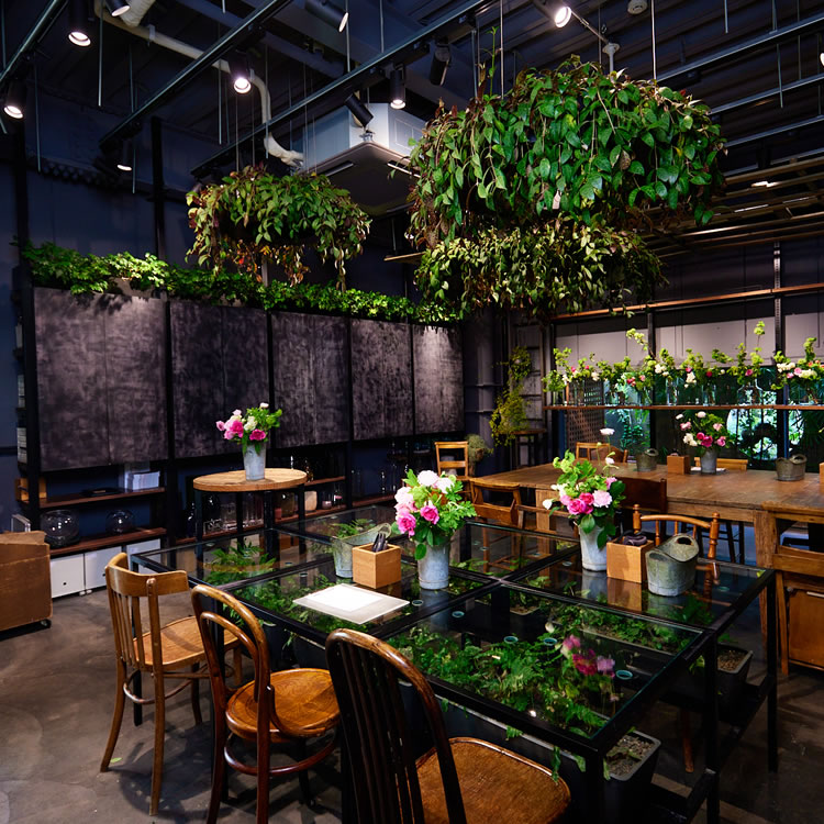 スタジオ内・レッスン風景@グラッセリア スタジオ内・レッスン風景@グラッセリア