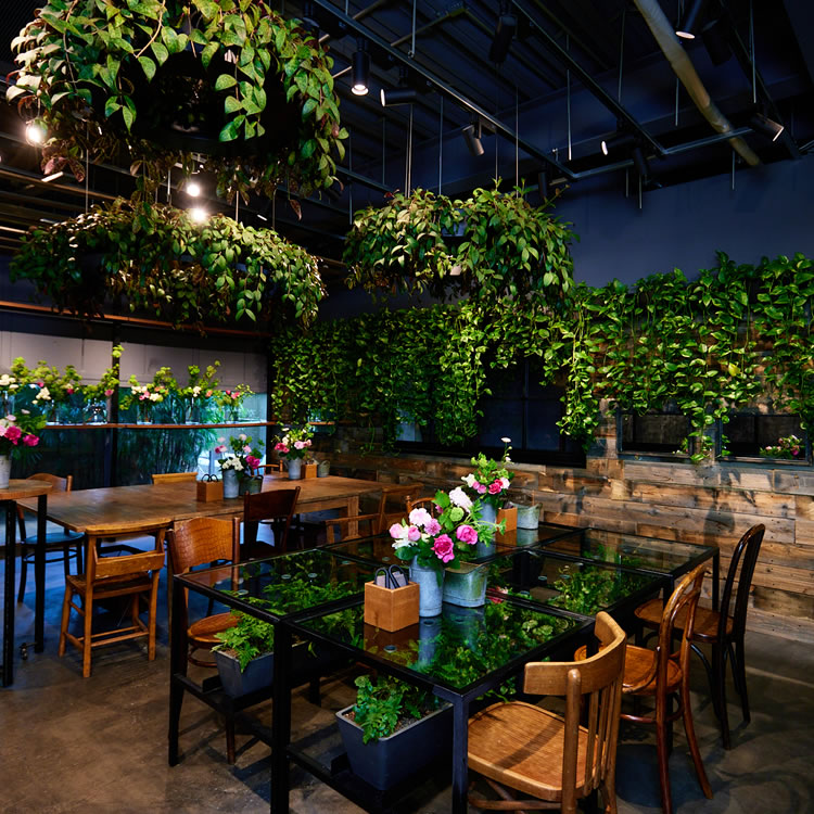 スタジオ内・レッスン風景@グラッセリア スタジオ内・レッスン風景@グラッセリア