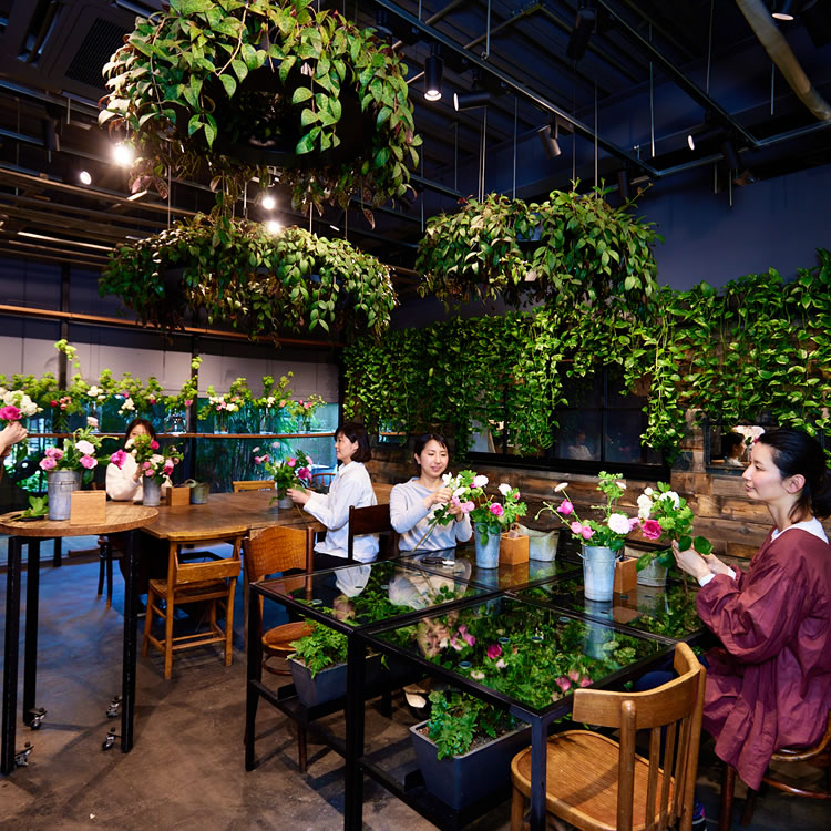 スタジオ内・レッスン風景@グラッセリア スタジオ内・レッスン風景@グラッセリア